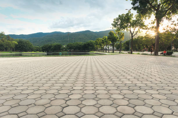 Best Driveway Paving Contractor  in Bull Run, VA